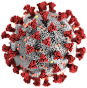 sars-cov-2_without_background